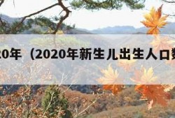 2020年（2020年新生儿出生人口数量）