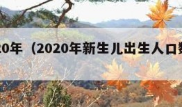 2020年（2020年新生儿出生人口数量）