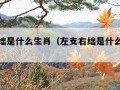 左支右绌是什么生肖（左支右绌是什么生肖呢）