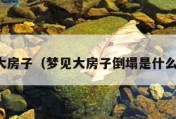 梦见大房子（梦见大房子倒塌是什么预兆）