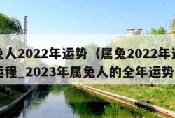 属兔人2022年运势（属兔2022年运势及运程_2023年属兔人的全年运势）