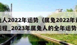 属兔人2022年运势（属兔2022年运势及运程_2023年属兔人的全年运势）