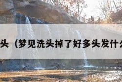 梦见洗头（梦见洗头掉了好多头发什么意思）