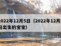 2022年12月5日（2022年12月5日出生的宝宝）