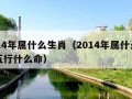 2014年属什么生肖（2014年属什么生肖五行什么命）