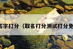 起名字打分（取名打分测试打分免费）