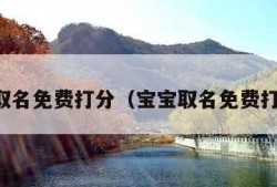 宝宝取名免费打分（宝宝取名免费打分网）