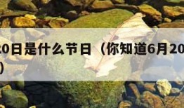 6月20日是什么节日（你知道6月20日是什么）