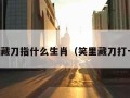 笑里藏刀指什么生肖（笑里藏刀打一生）