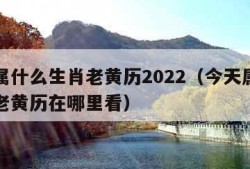 今天属什么生肖老黄历2022（今天属什么生肖老黄历在哪里看）