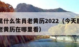 今天属什么生肖老黄历2022（今天属什么生肖老黄历在哪里看）