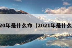 2020年是什么命（2021年是什么命）