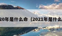 2020年是什么命（2021年是什么命）