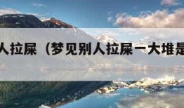 梦见别人拉屎（梦见别人拉屎一大堆是什么意思）