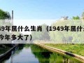 1949年属什么生肖（1949年属什么生肖 今年多大了）