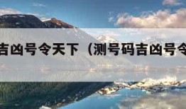 测号码吉凶号令天下（测号码吉凶号令天下汉程网）