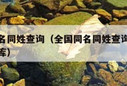 全国同名同姓查询（全国同名同姓查询全国姓名数据库）