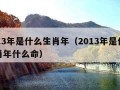 2013年是什么生肖年（2013年是什么生肖年什么命）