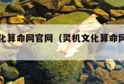 灵机文化算命网官网（灵机文化算命网官网免费）