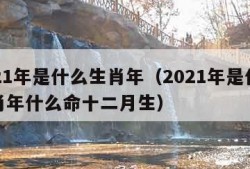 2021年是什么生肖年（2021年是什么生肖年什么命十二月生）