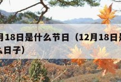 12月18日是什么节日（12月18日是个什么日子）