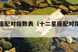 十二星座配对指数表（十二星座配对指数表图）