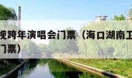 湖南卫视跨年演唱会门票（海口湖南卫视跨年演唱会门票）