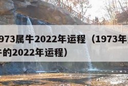 1973属牛2022年运程（1973年属牛的2022年运程）