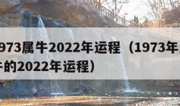 1973属牛2022年运程（1973年属牛的2022年运程）