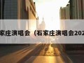 石家庄演唱会（石家庄演唱会2024）