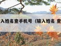 网上输入姓名查手机号（输入姓名 查手机号）