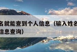 输入姓名就能查到个人信息（输入姓名就能查到个人信息查询）