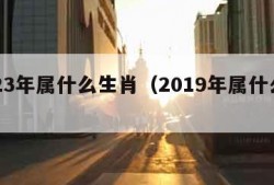 2023年属什么生肖（2019年属什么生肖）