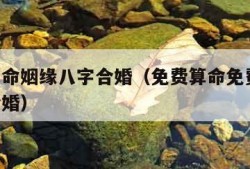 免费算命姻缘八字合婚（免费算命免费 生辰八字合婚）