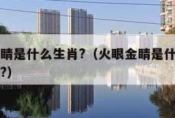 火眼金睛是什么生肖?（火眼金睛是什么生肖和数字?）