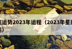 星座运势2023年运程（2023年星座爱情运）