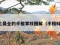 史上最全的手相掌纹图解（手相科普）