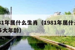 1981年属什么生肖（1981年属什么生肖多大年龄）