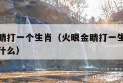 火眼金睛打一个生肖（火眼金睛打一生肖最佳答案是什么）