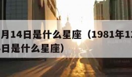 12月14日是什么星座（1981年12月14日是什么星座）