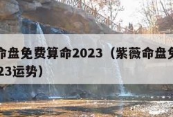 紫薇命盘免费算命2023（紫薇命盘免费算命2023运势）