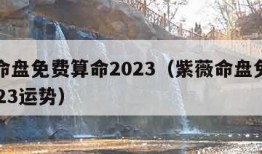 紫薇命盘免费算命2023（紫薇命盘免费算命2023运势）