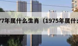 1977年属什么生肖（1975年属什么生肖）