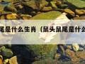 鼠头鼠尾是什么生肖（鼠头鼠尾是什么生肖呢）