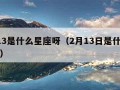 2月13是什么星座呀（2月13日是什么星座啊）