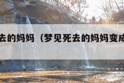 梦见死去的妈妈（梦见死去的妈妈变成了疯子）