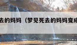 梦见死去的妈妈（梦见死去的妈妈变成了疯子）