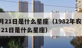 12月21日是什么星座（1982年农历12月21日是什么星座）