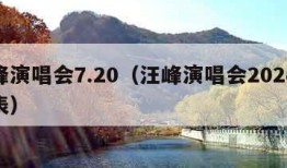 汪峰演唱会7.20（汪峰演唱会2024时间表）