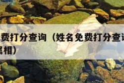 姓名免费打分查询（姓名免费打分查询五行,天格,属相）